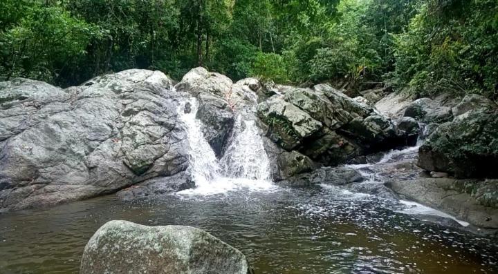 Las Mananitas De La Sierra El Zaino Dış mekan fotoğraf
